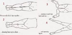 Gerakan kaki pada renang gaya dada mirip dengan gerakan